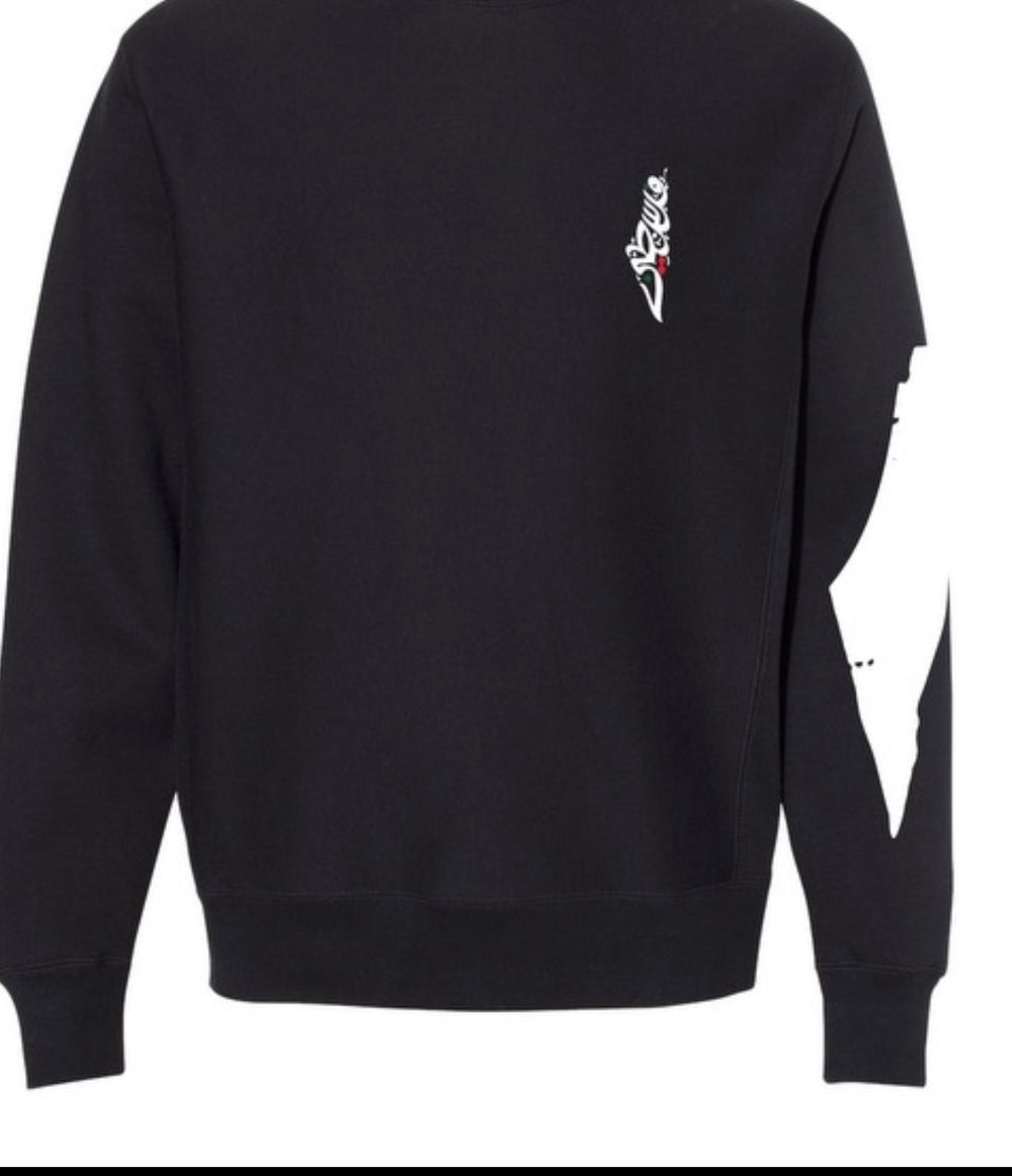Palestinians Have a Right w/ Embroidered Map Hoodie