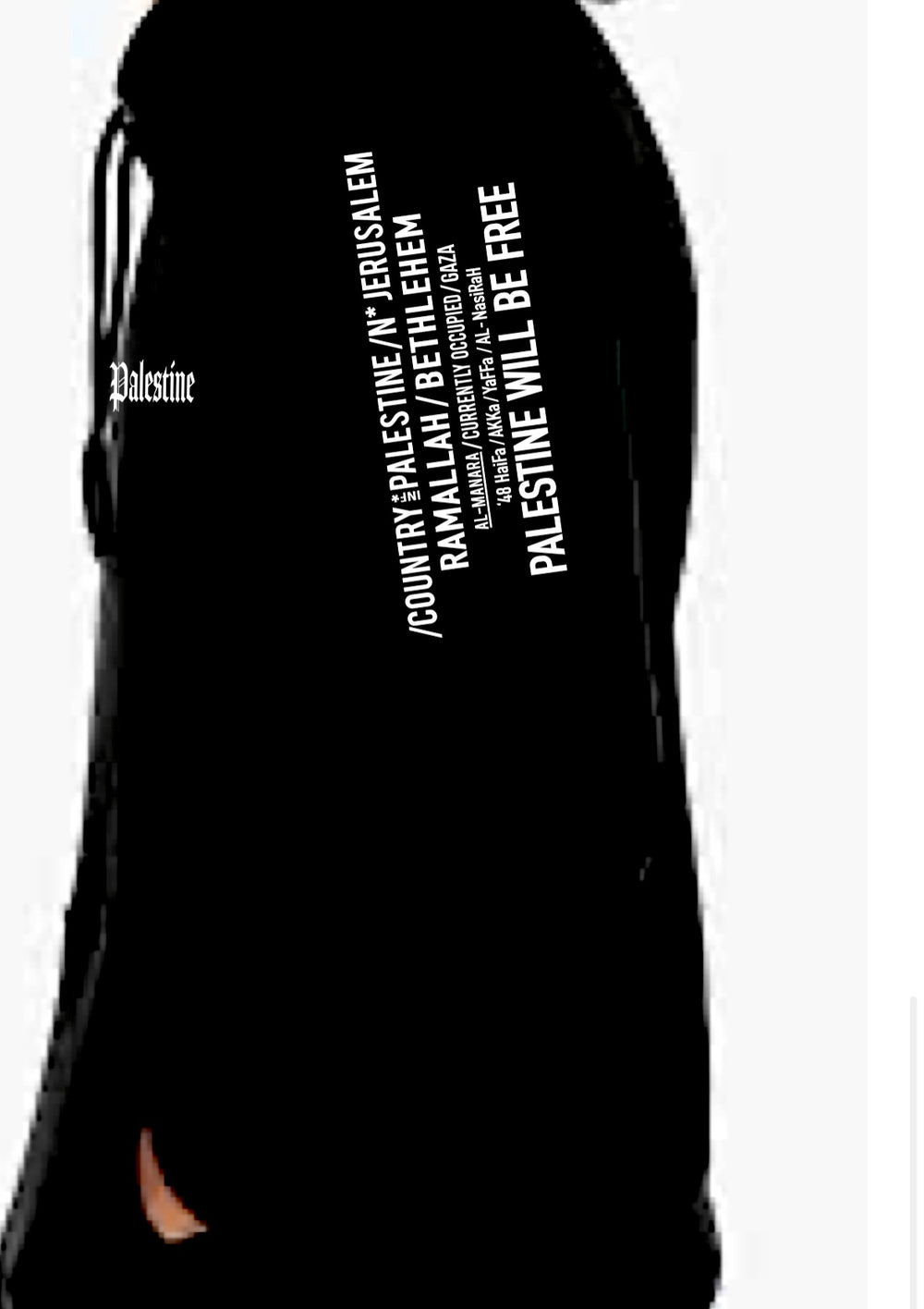 Free Palestine Sakhra (Dome) Crew neck