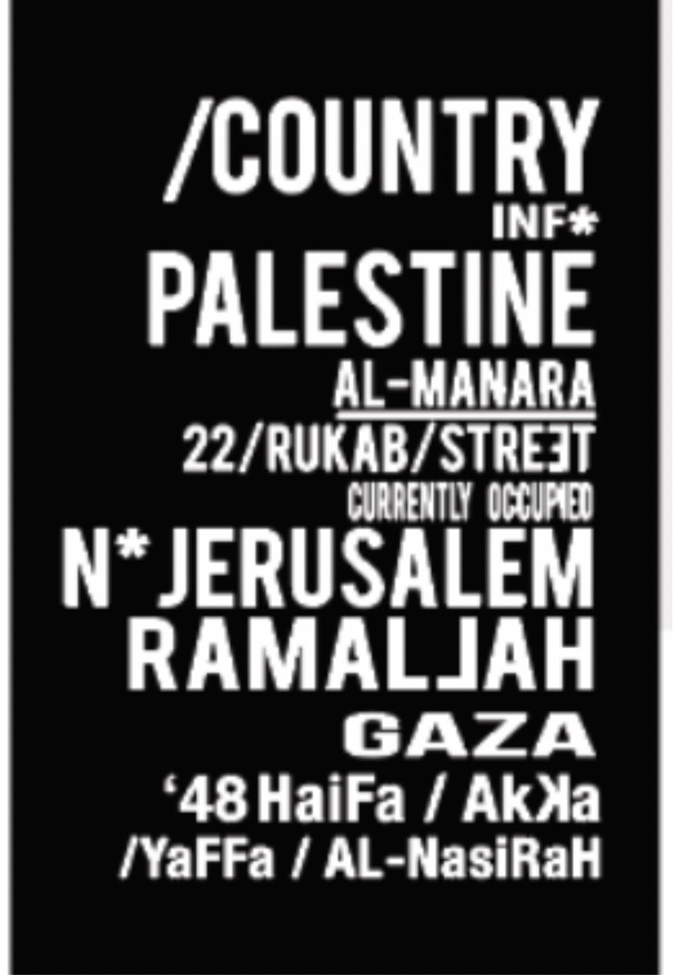 Palestine  Cities Side Hoodie / Map Sleeve