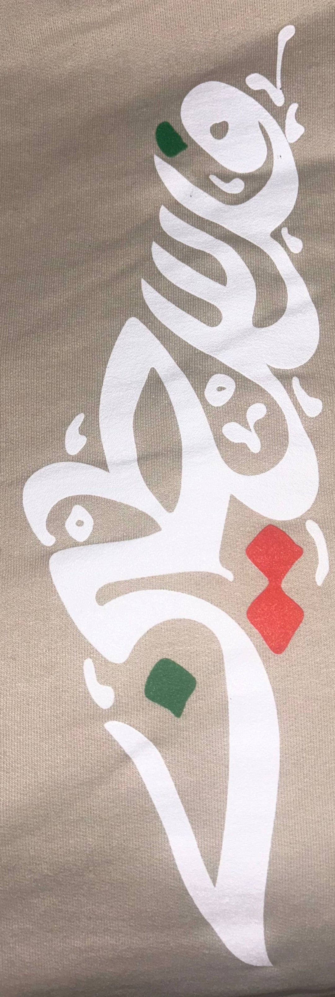 Palestine Logo Map  T-Shirt