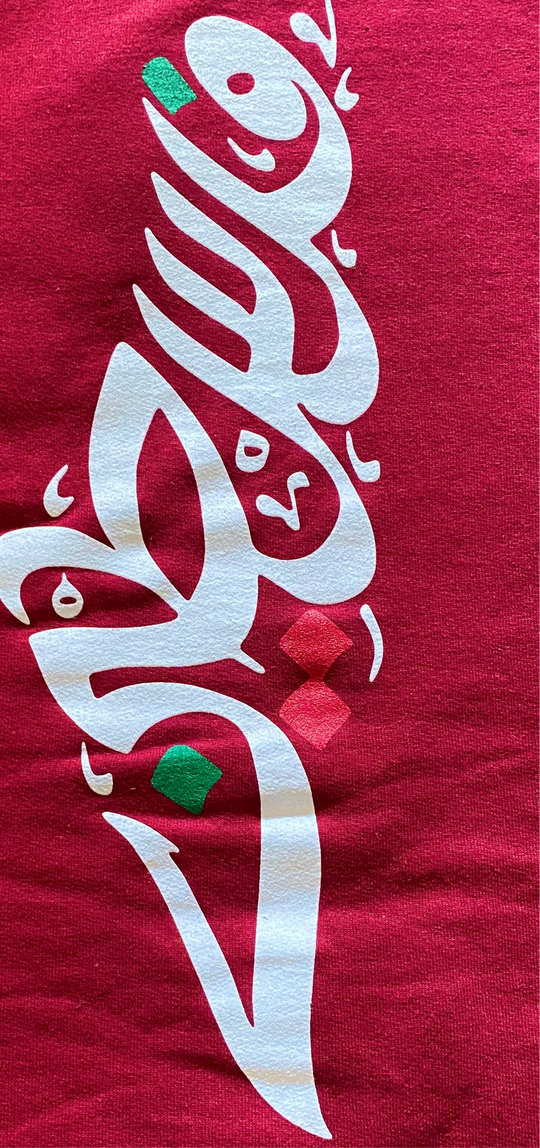 Palestine Logo Map  T-Shirt