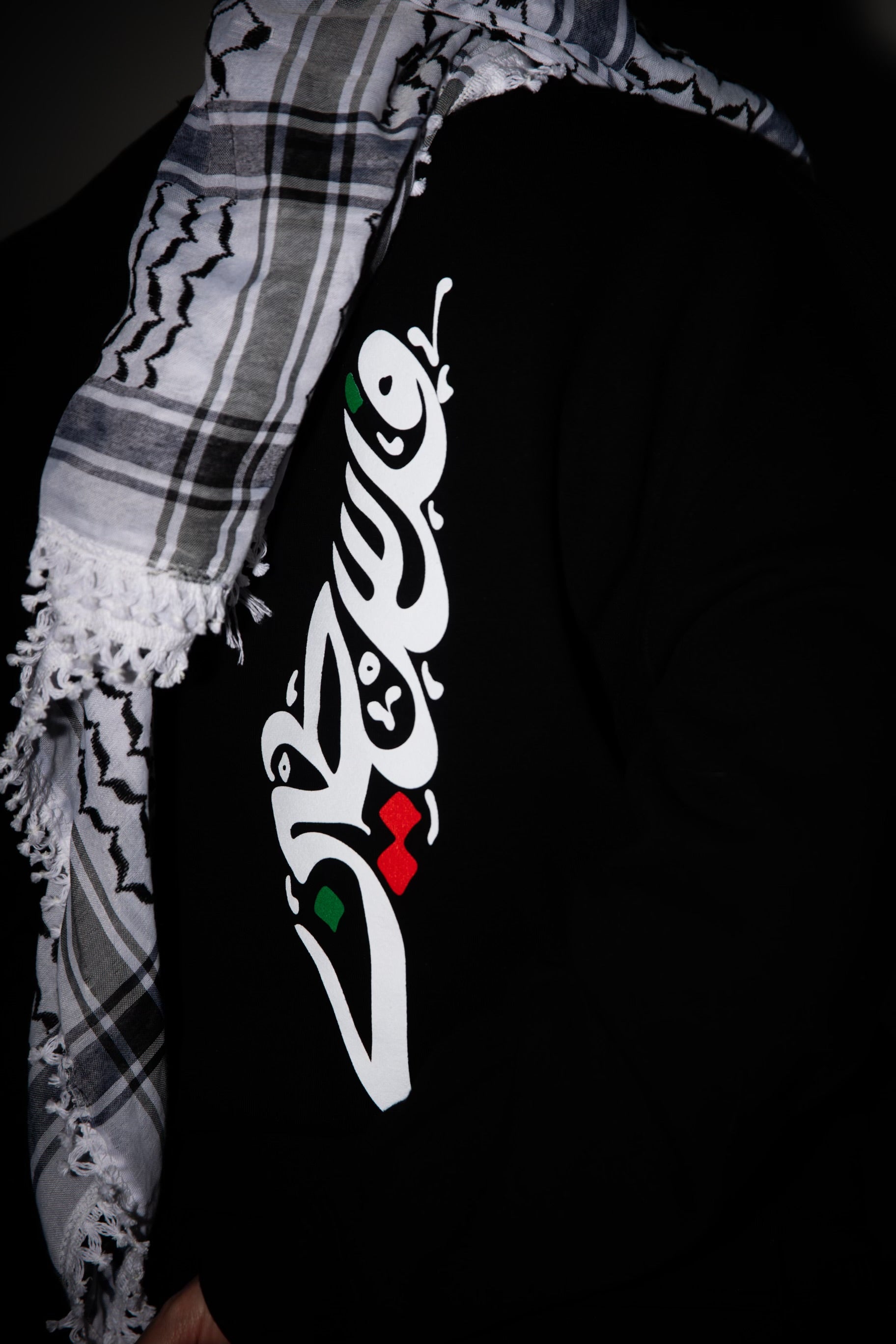 Palestnians Have A Right Hoodie