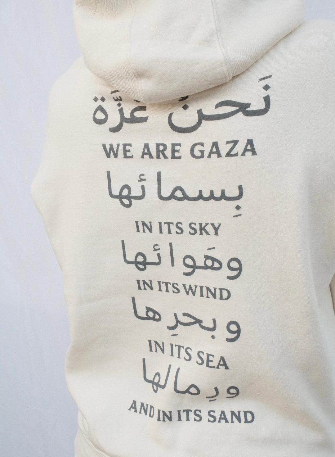 We Are Gaza Hoodie