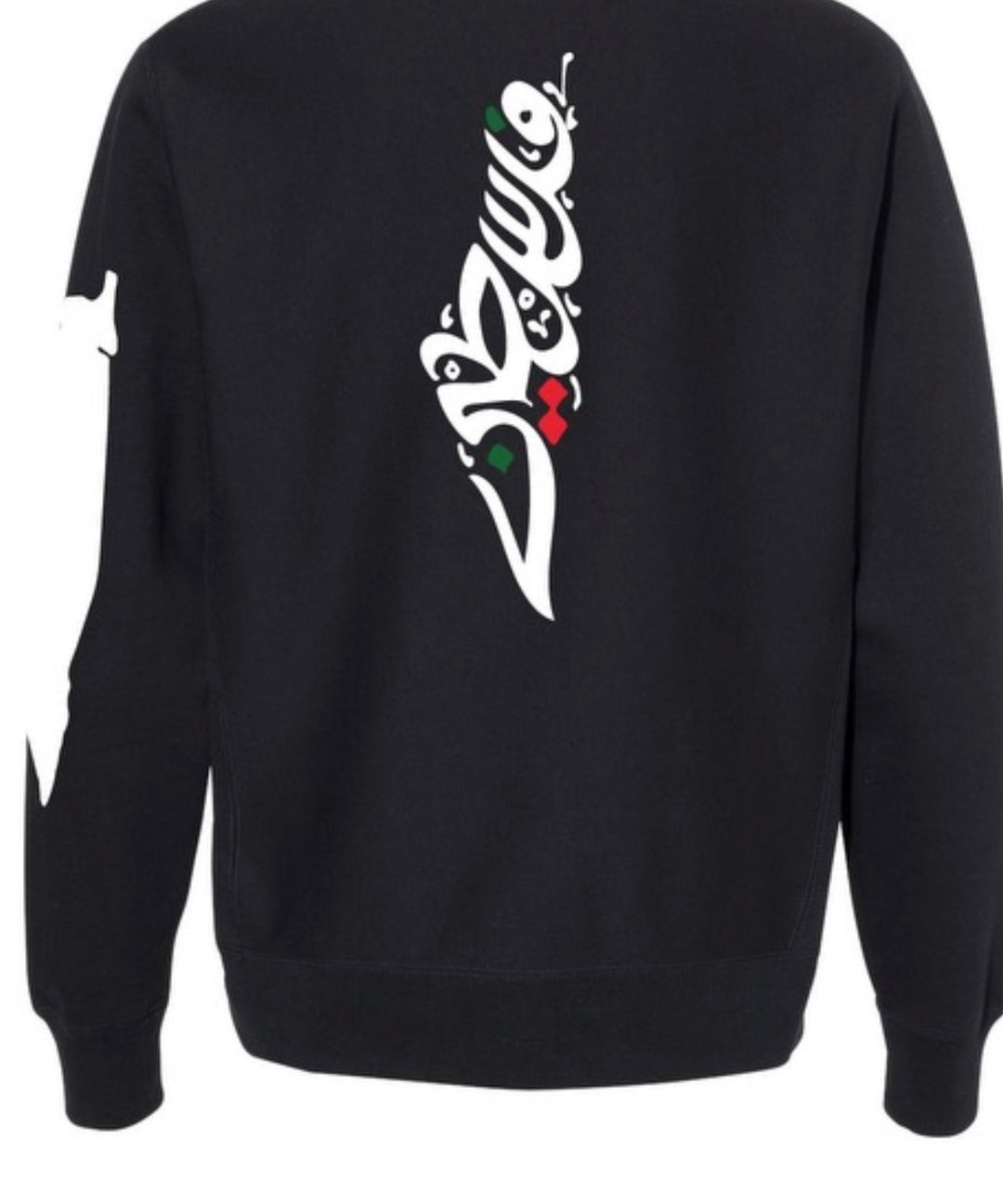 Palestnians Have A Right Statement Hoodie – West Bank Hoodie