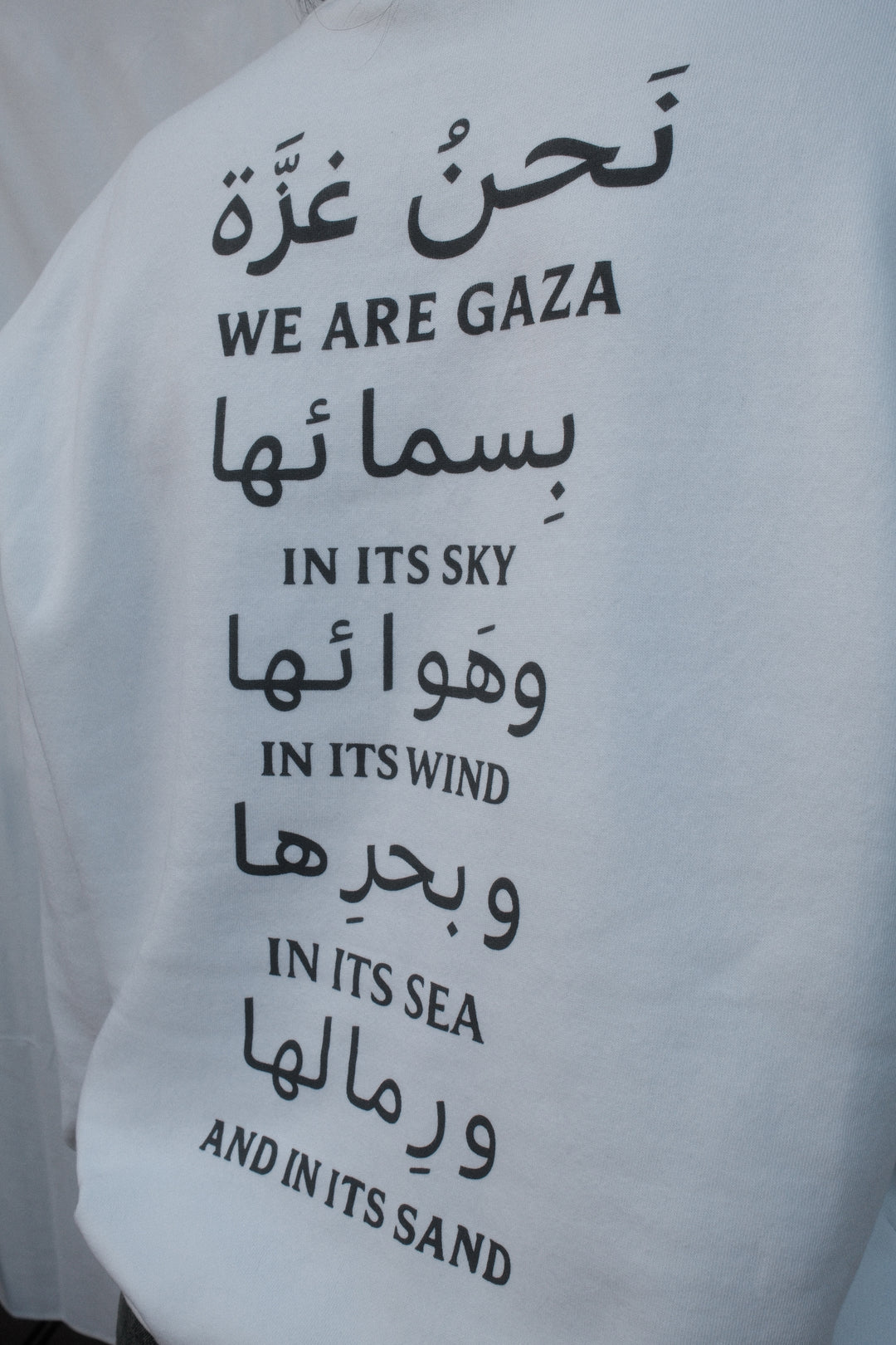 We Are Gaza Hoodie