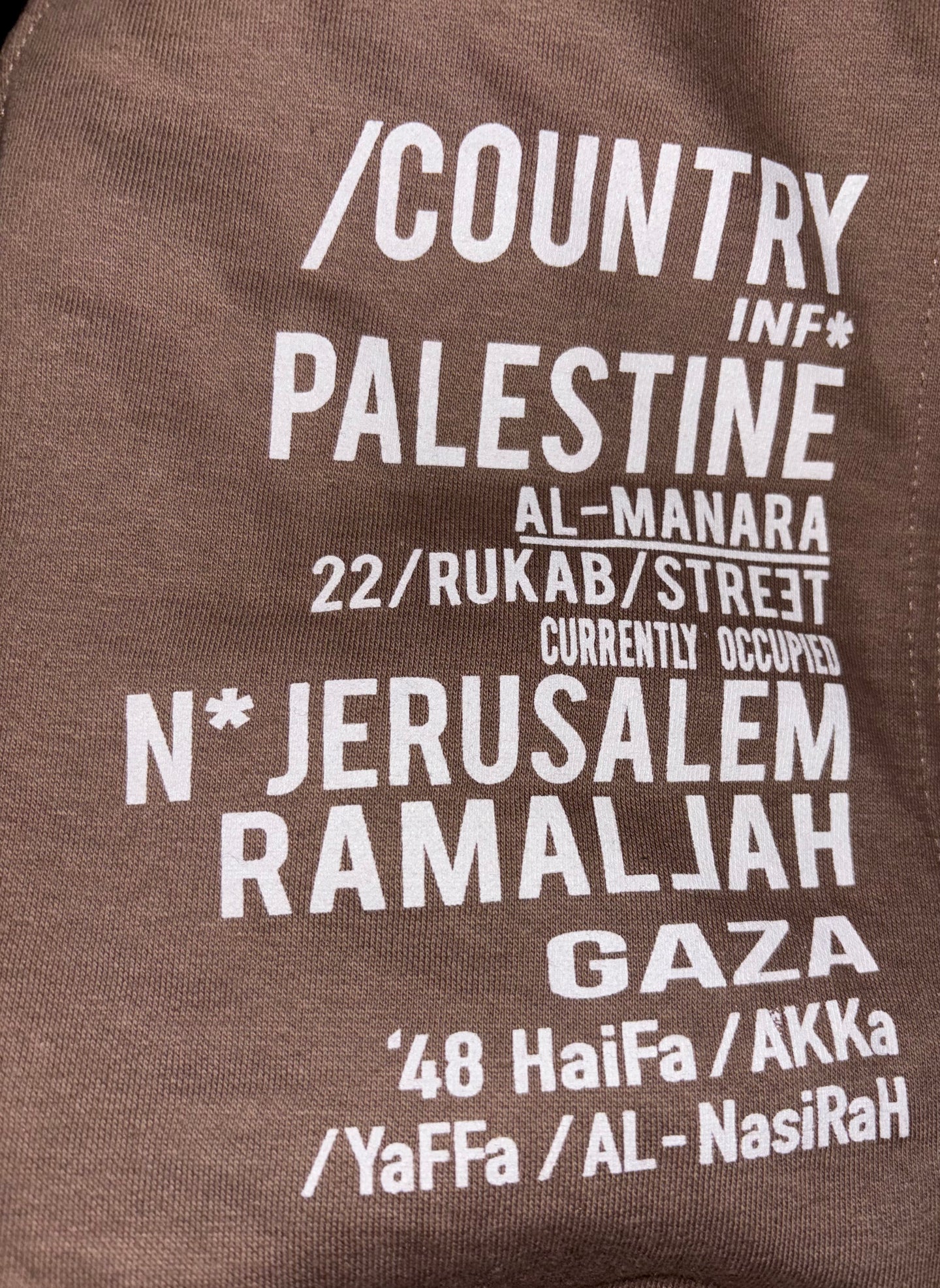 Palestine  Cities Side Hoodie / Map Sleeve